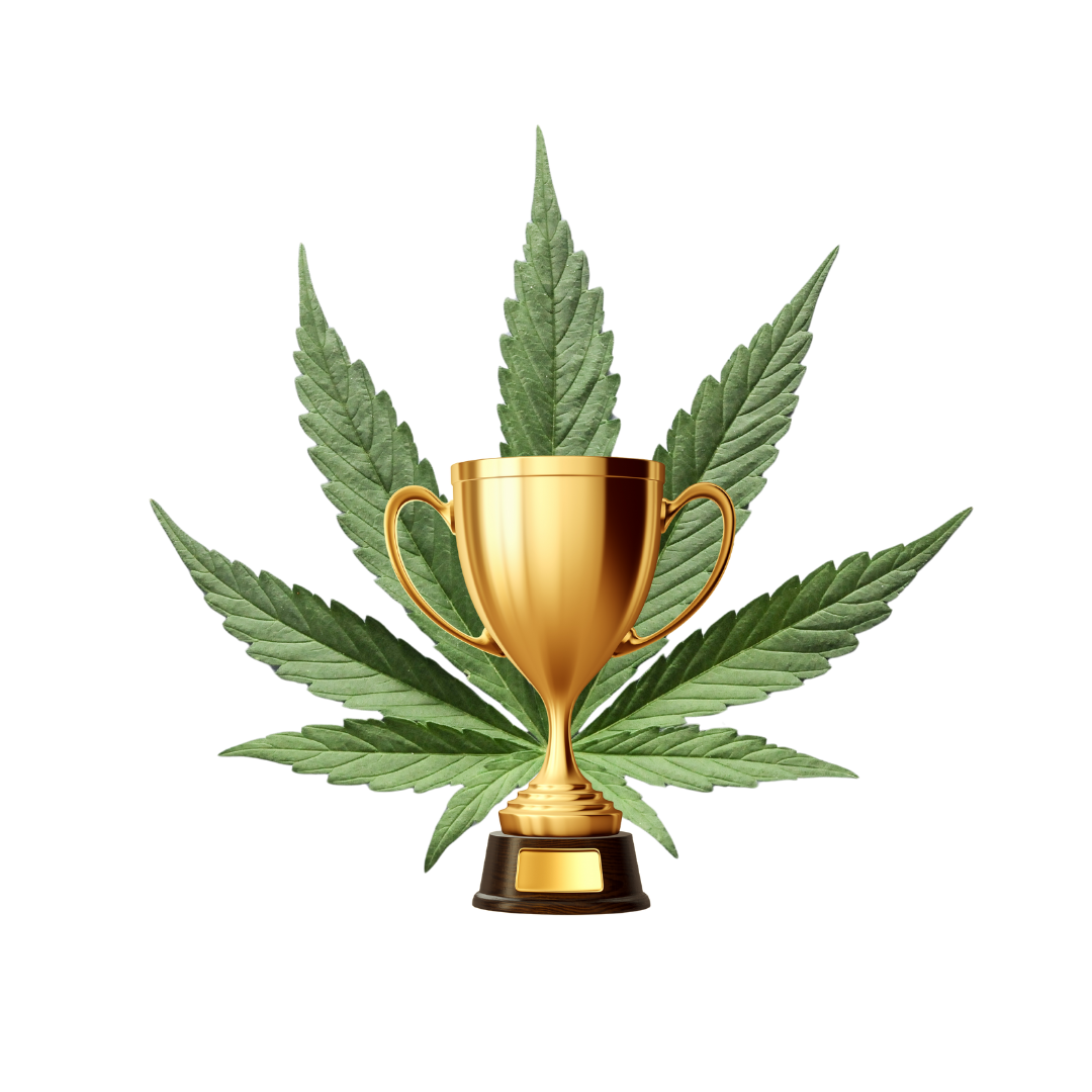 Top 10 beliebteste Cannabissorten