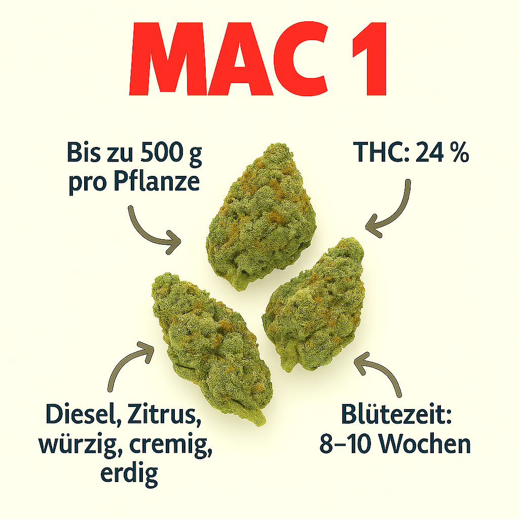 MAC 1