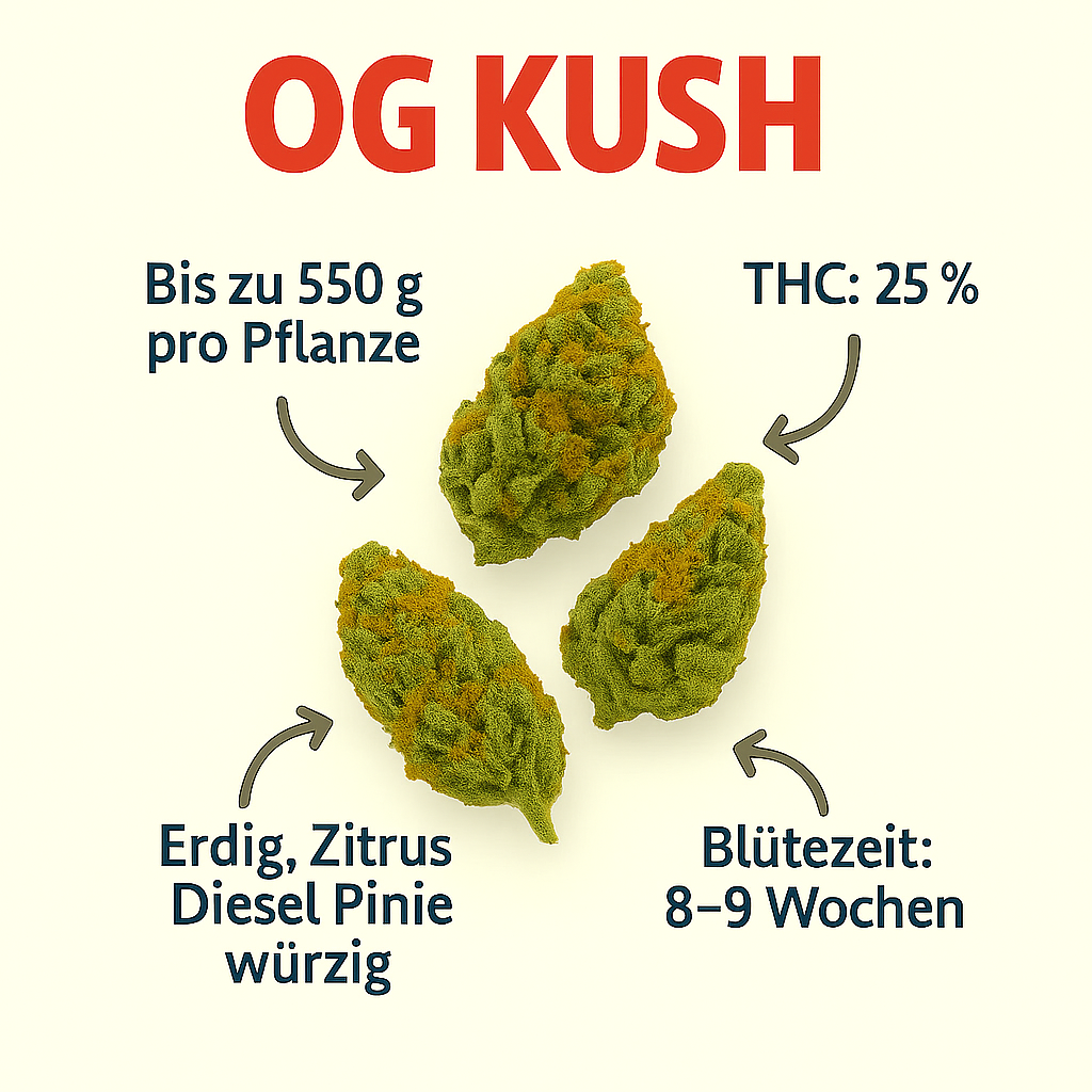 OG Kush