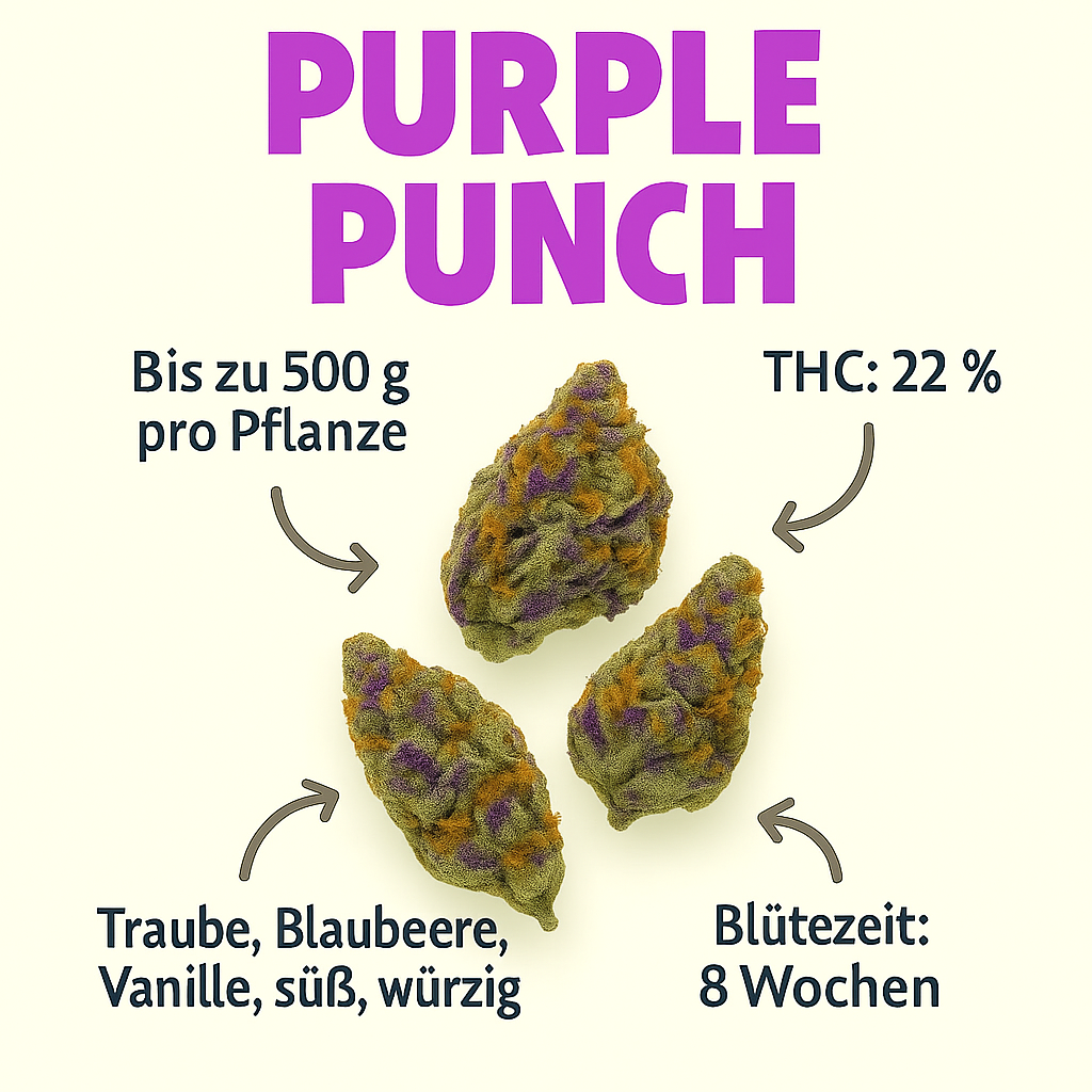 Purple Punch