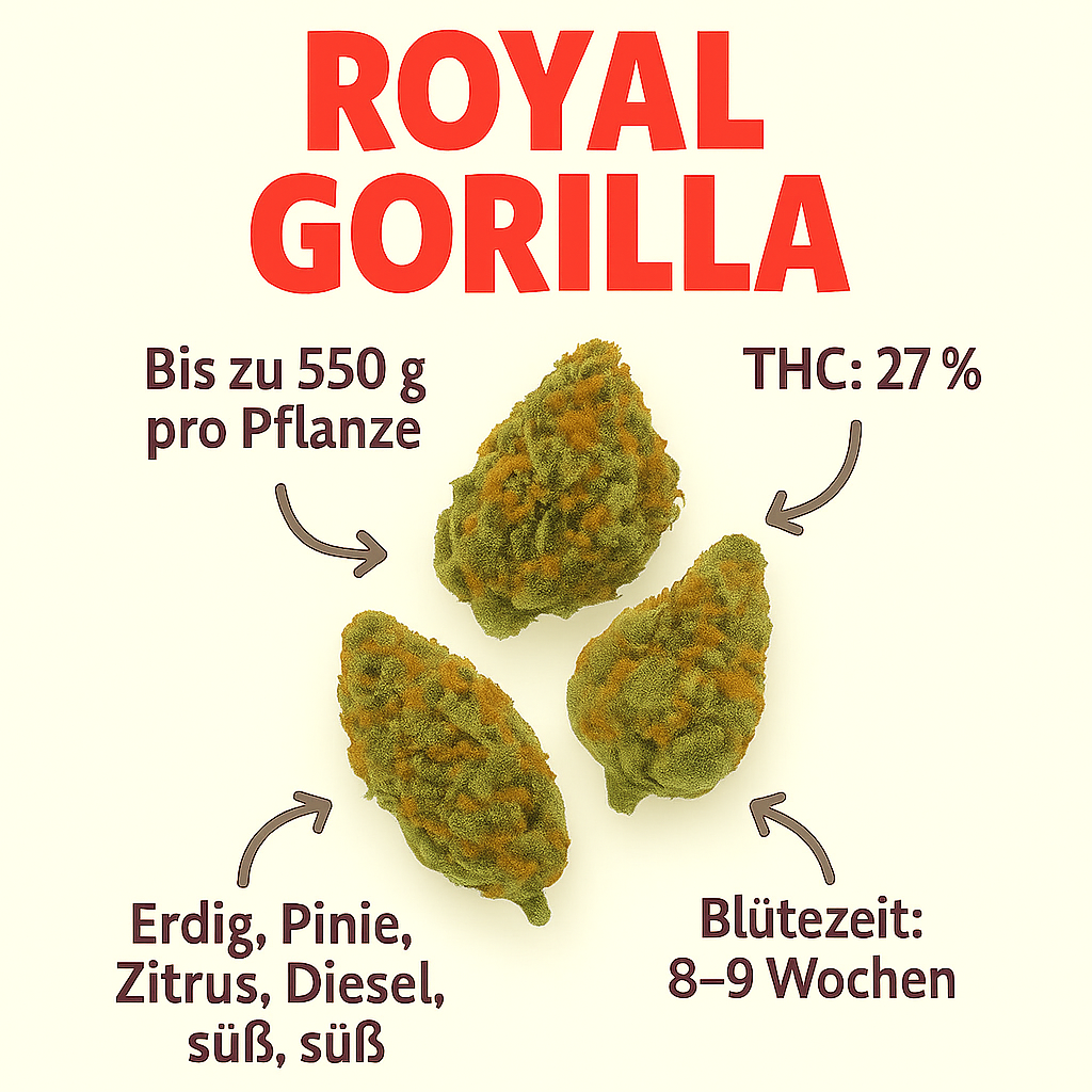 Royal Gorilla