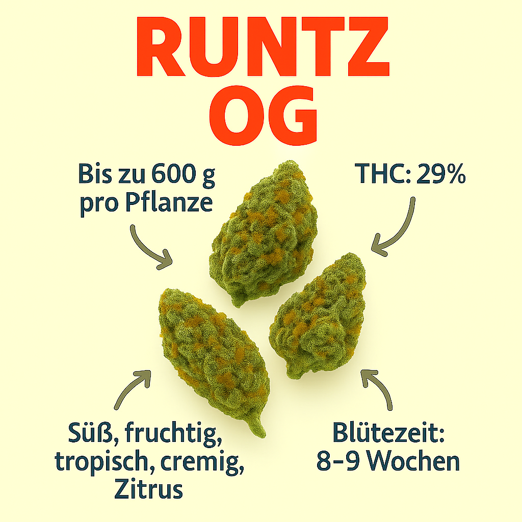 Runtz OG
