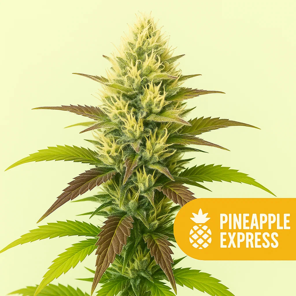 Pineapple Express