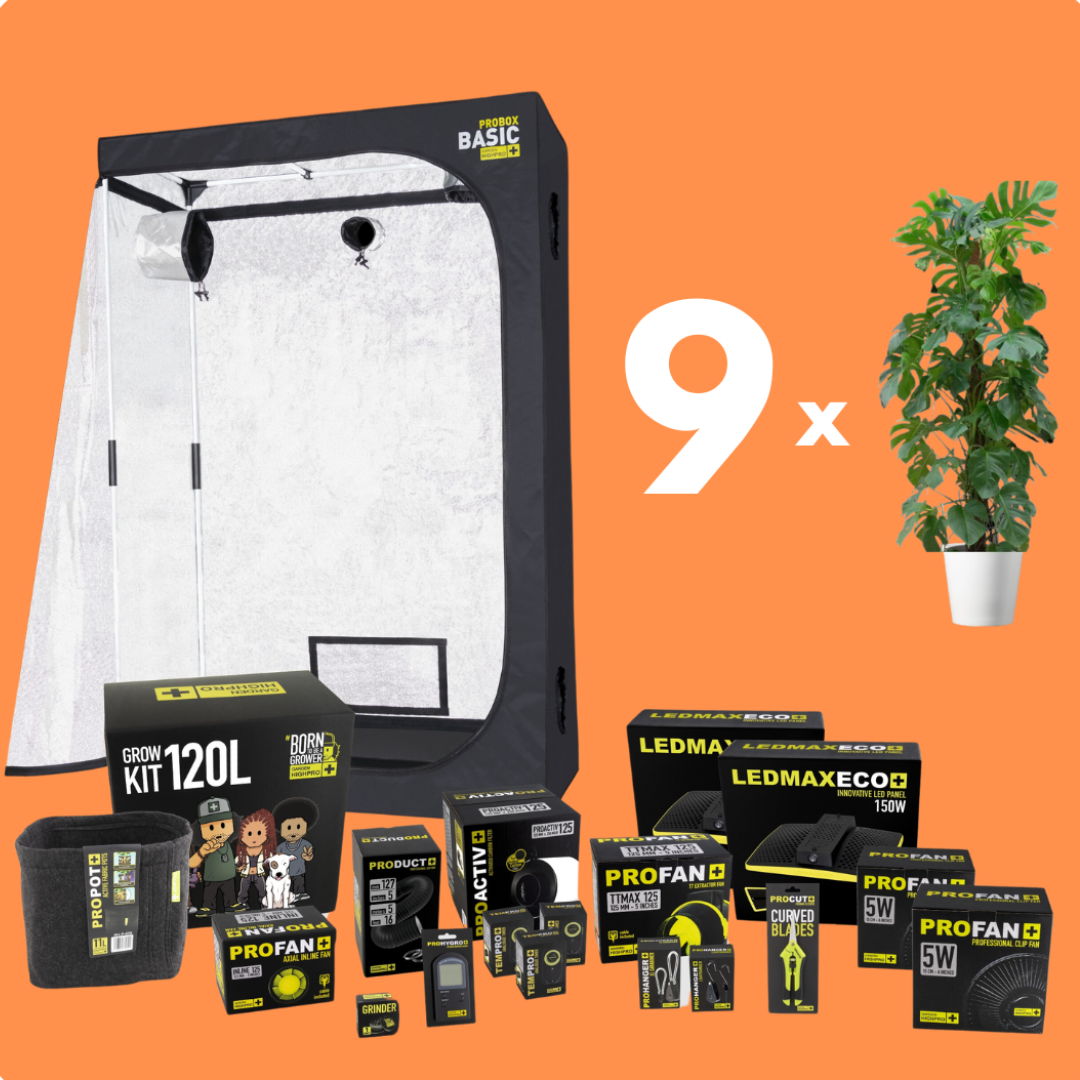 Finde die Grow-Box die zu dir passt!