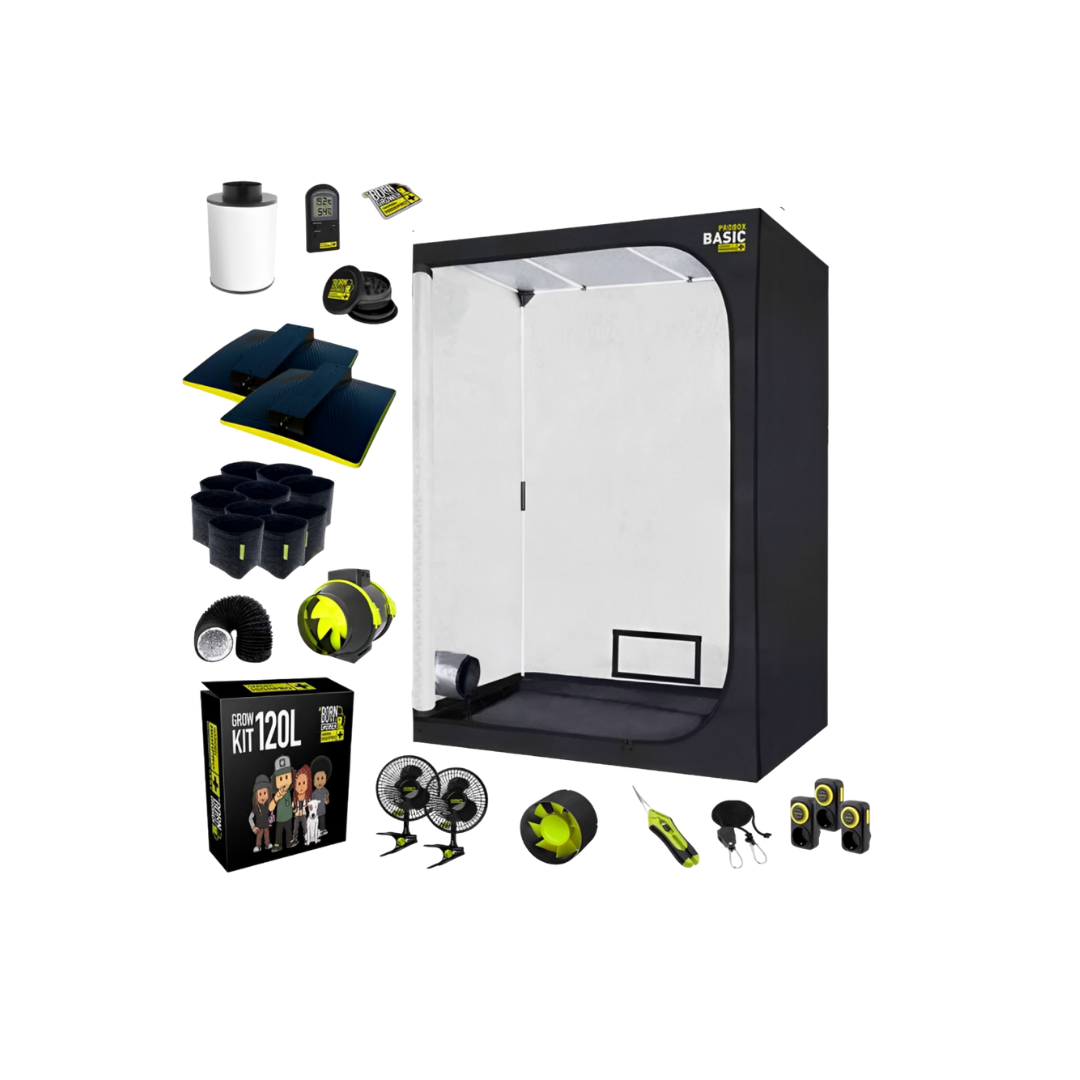 Grow-Boxen