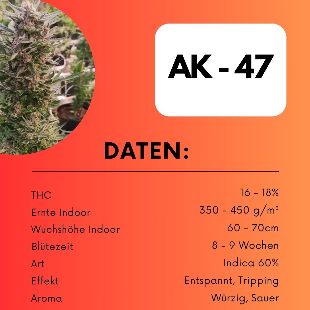AK47 Samen Automatik