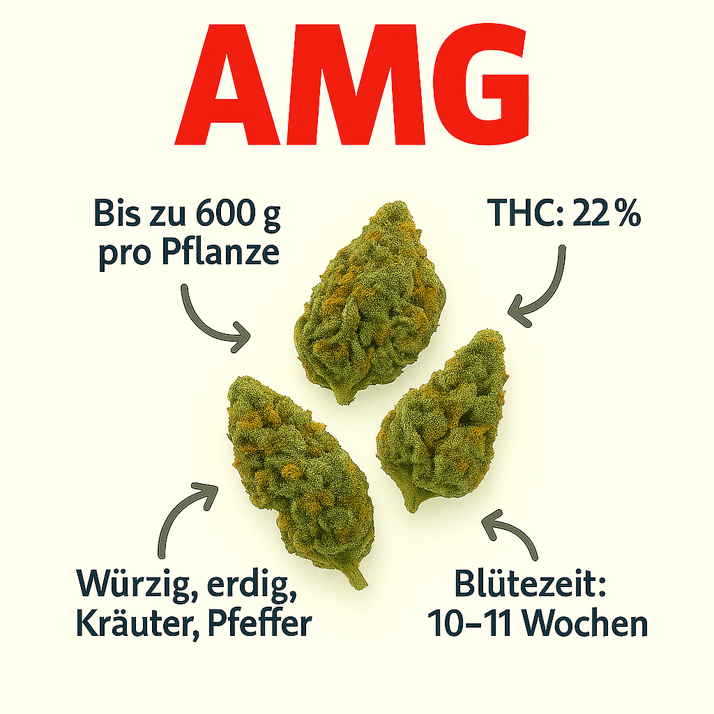 AMG Haze
