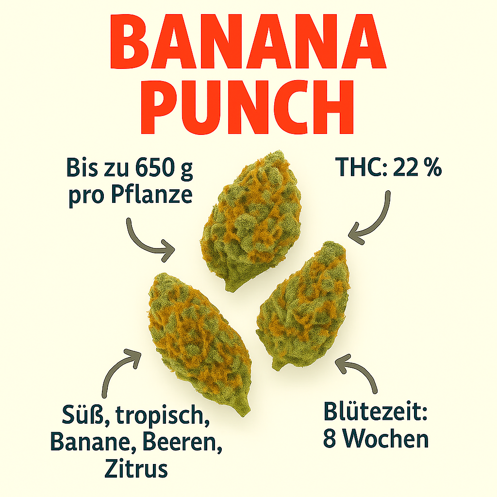 Banana Punch