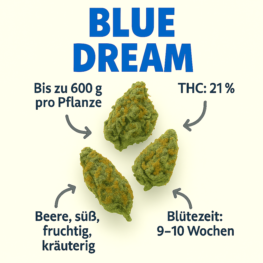 Blue Dream
