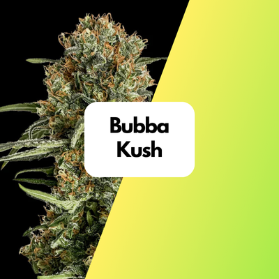 Bubba Kush Samen Feminisiert