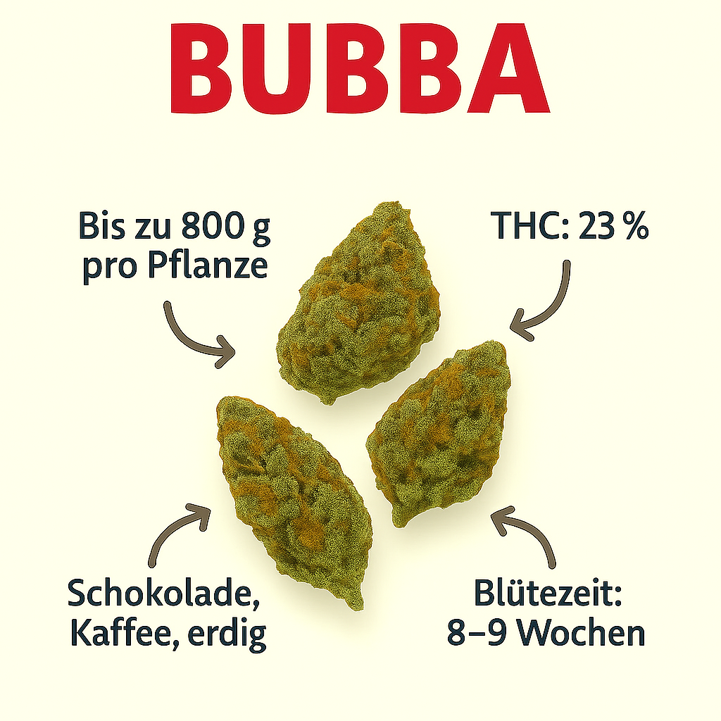 Bubba Kush