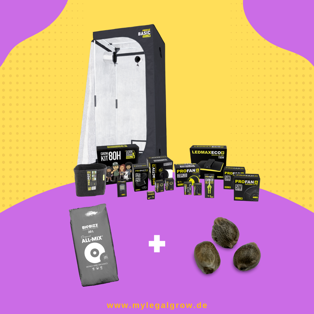 Bundle Einsteiger Set