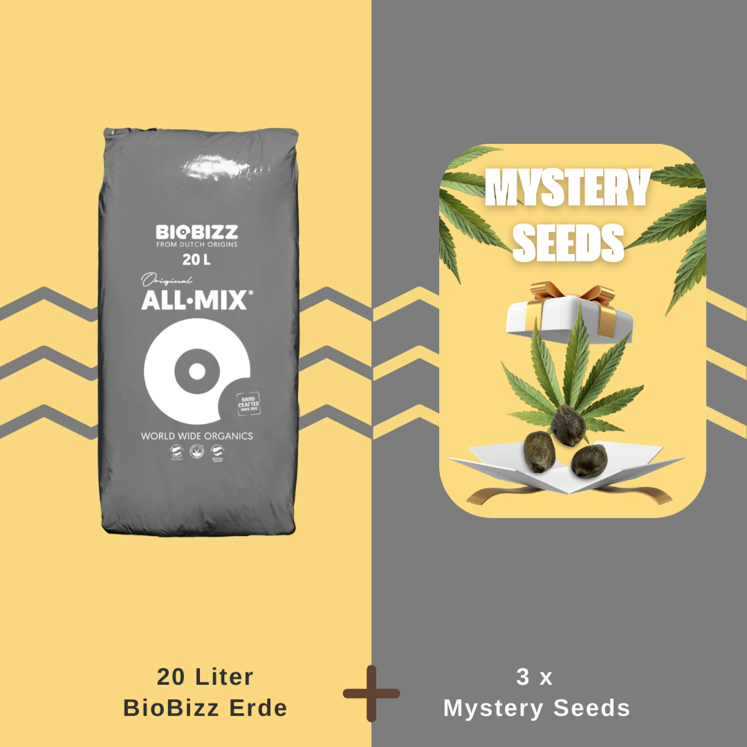 Starter Kit Überraschung