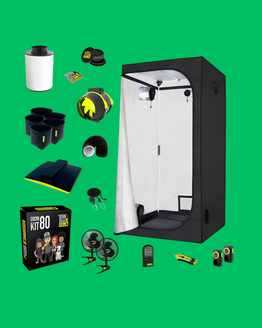 GardenHighPro+ Medium Box 2-6 Pflanzen