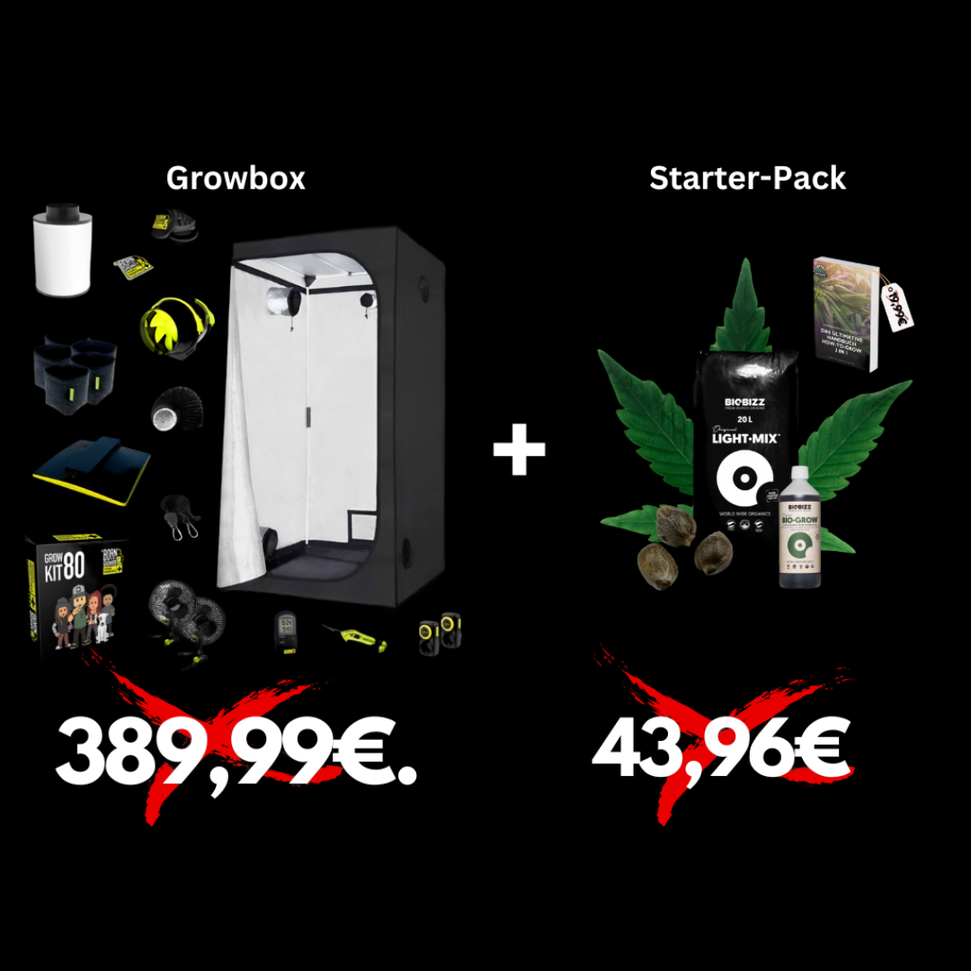 GHP 60 Growbox + Starterkit
