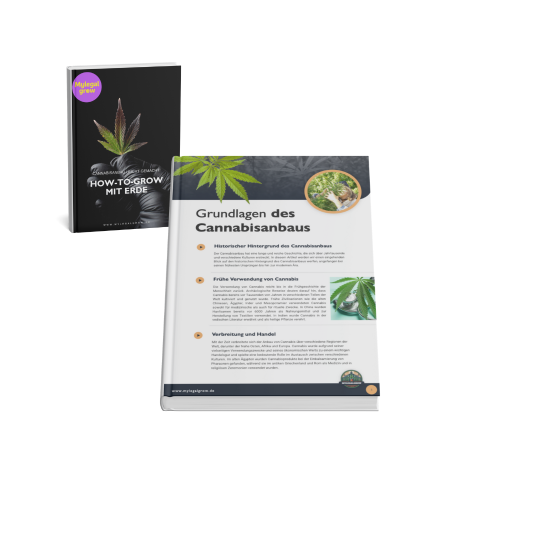 E-Book How To Grow Mit Erde