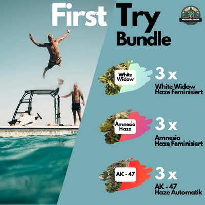 First Try Bundle - Samen