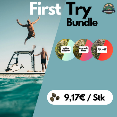 First Try Bundle - Samen