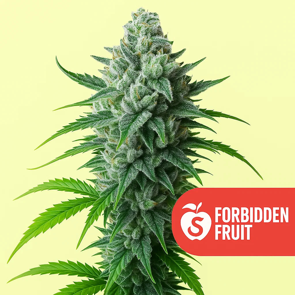 Forbidden Fruit