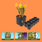GardenHighPro+ Large Box 3-9 Pflanzen