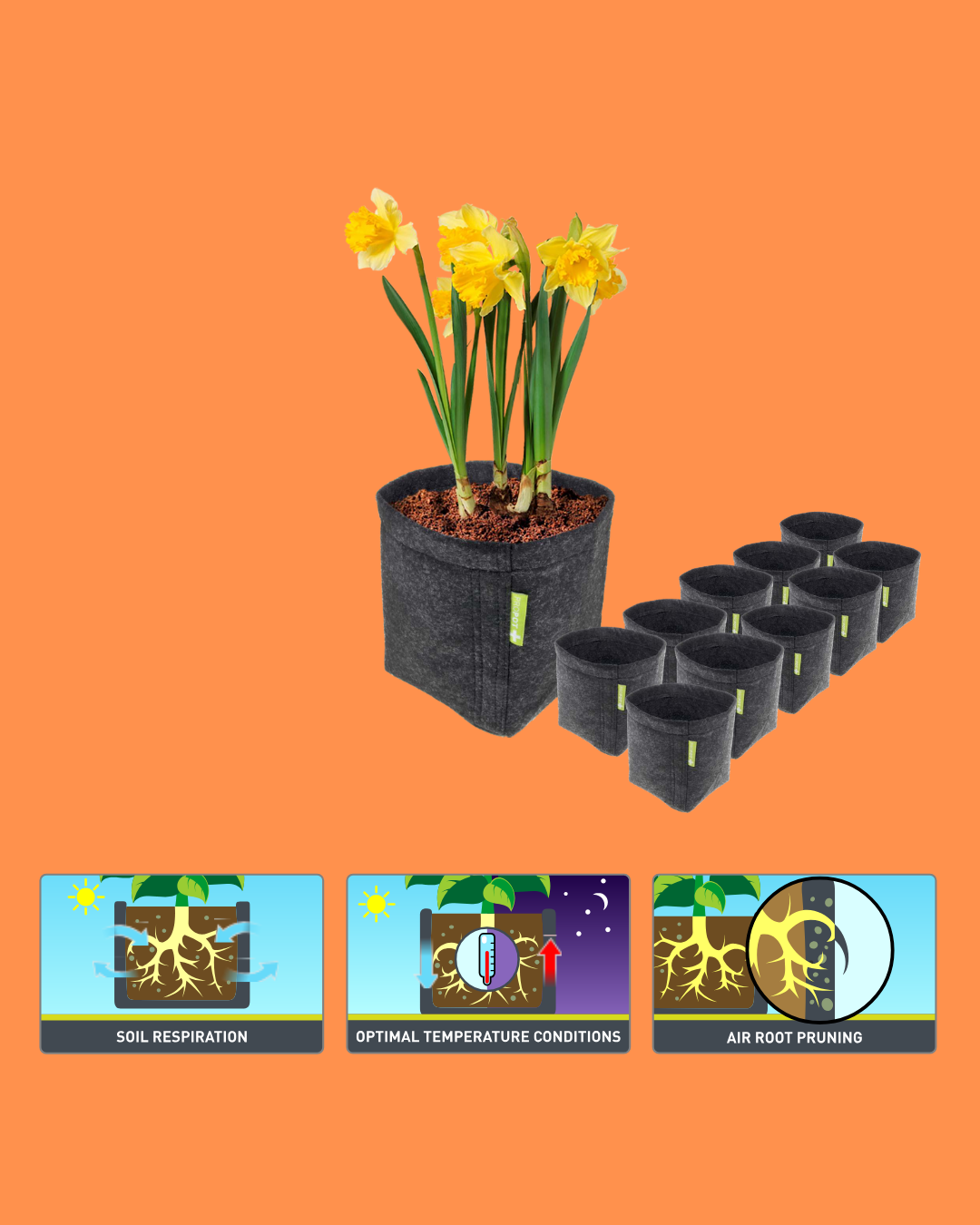 GardenHighPro+ Large Box 3-9 Pflanzen