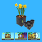 GardenHighPro+ Small Box 1-3 Pflanzen
