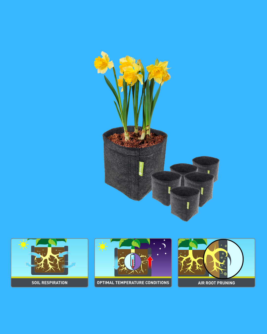 GardenHighPro+ Small Box 1-3 Pflanzen