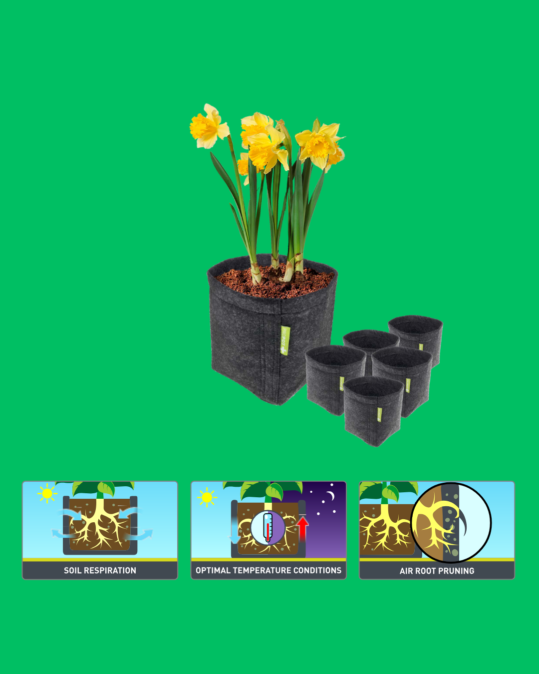 GardenHighPro+ Medium Box 2-6 Pflanzen