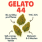 Gelato 44
