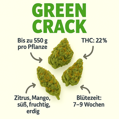 Green Crack