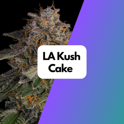 LA Kush Cake Samen