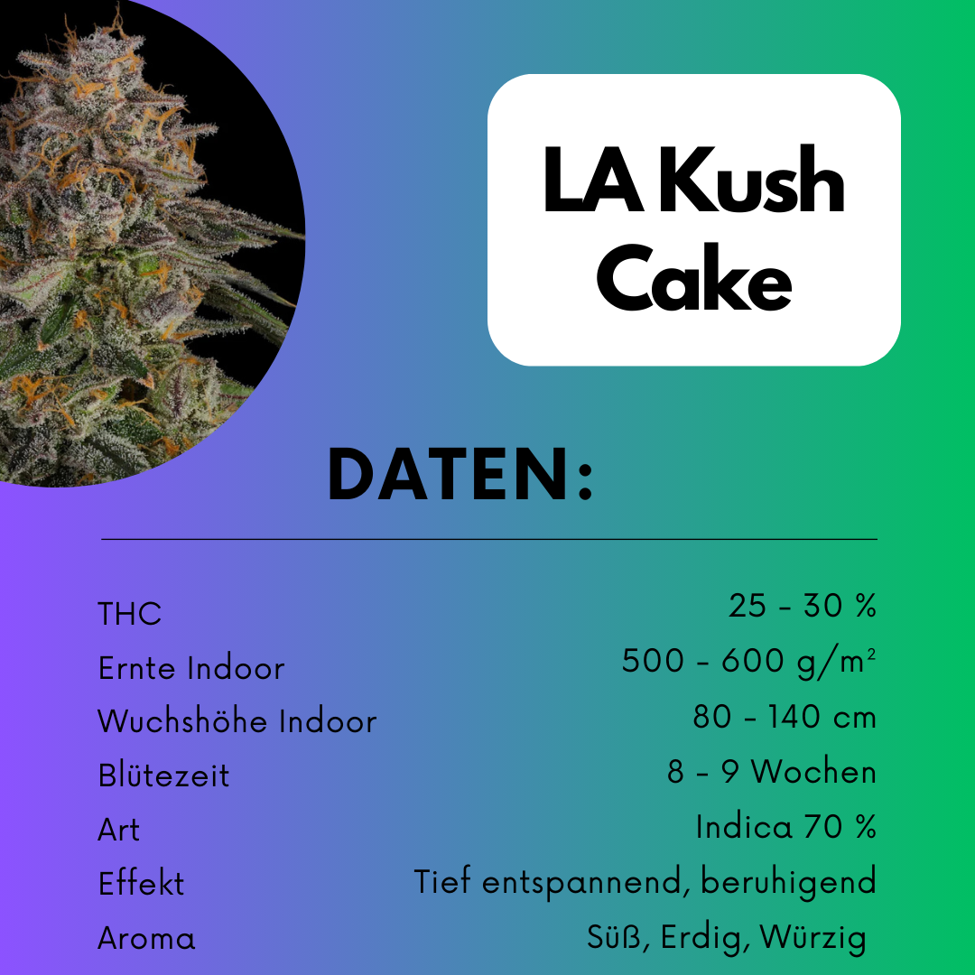 LA Kush Cake Samen