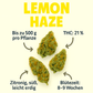 Lemon Haze