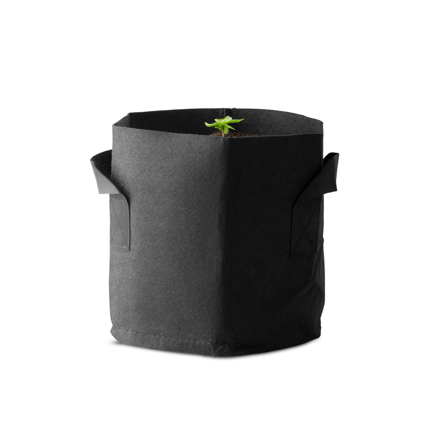 GrowBox Set Large 240 Watt 3 Pflanzen