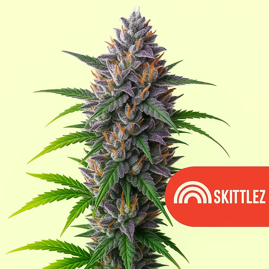Skittlez