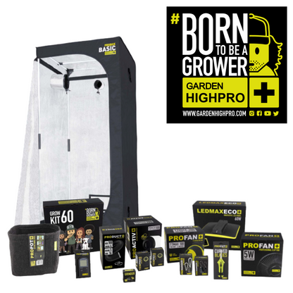 GHP 60 Growbox + Starterkit