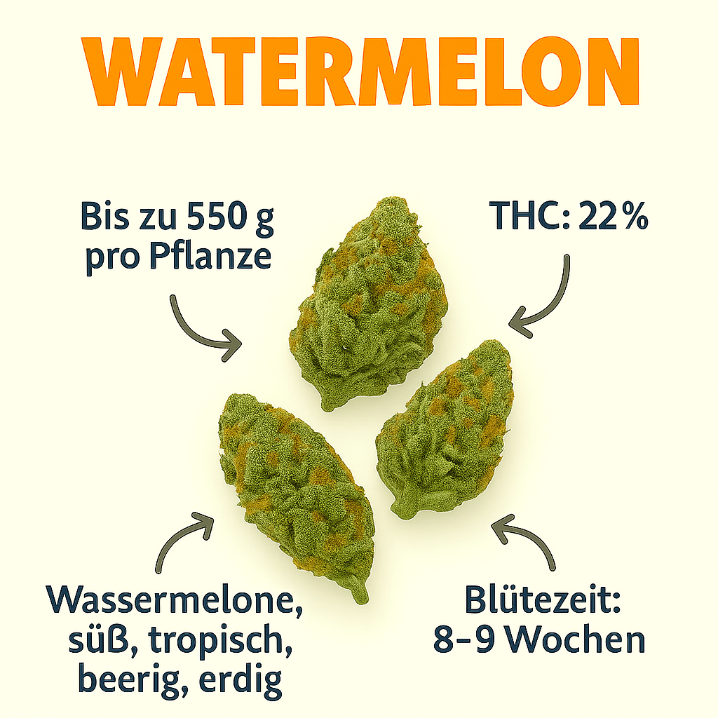 Watermelon US Cali