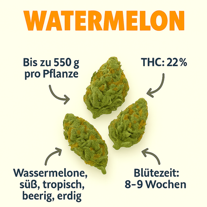 Watermelon US Cali