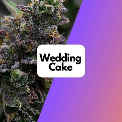 Wedding Cake Samen