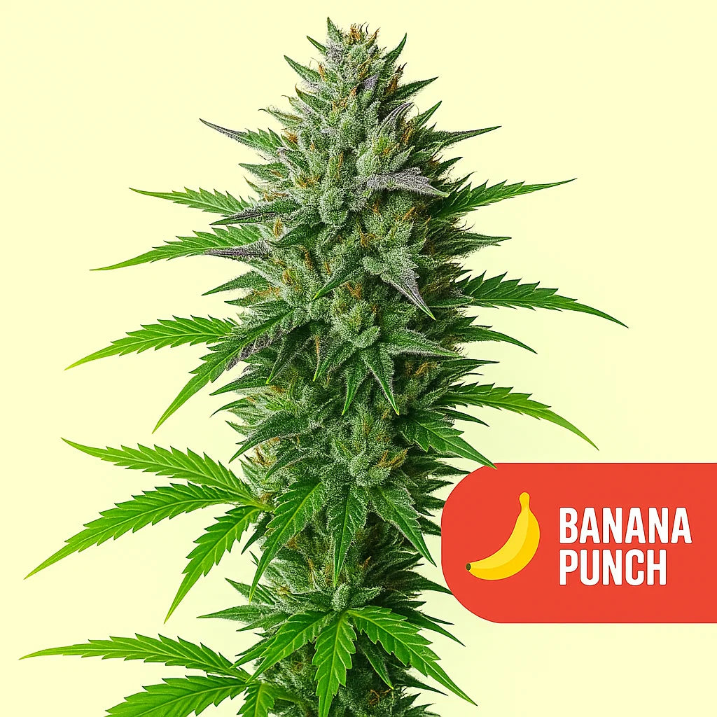 Banana Punch