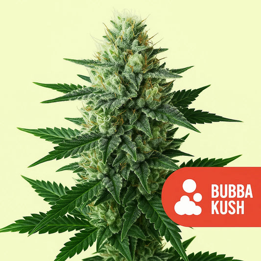 Bubba Kush