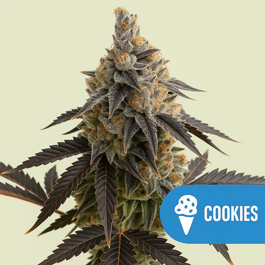Cookies