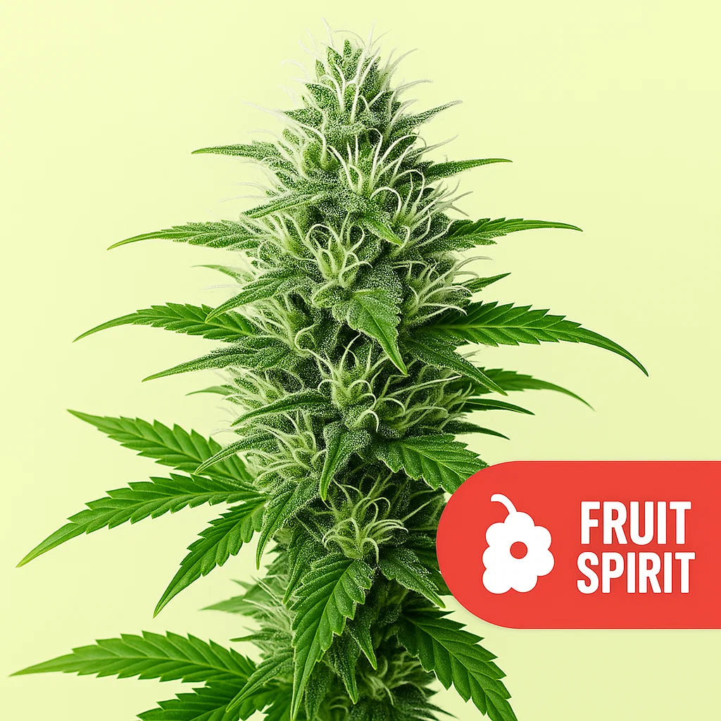 Fruit Spirit