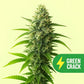 Green Crack