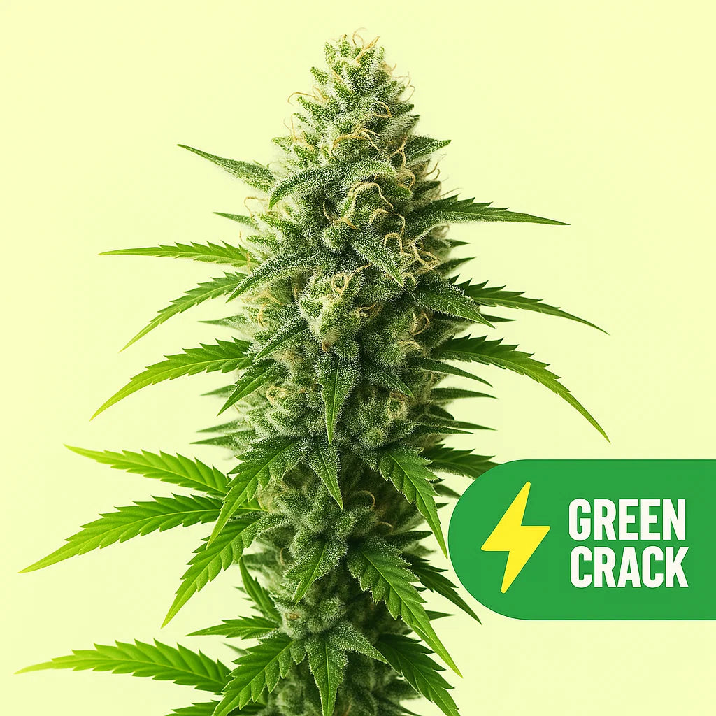 Green Crack
