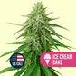 Mysterie THC Samen