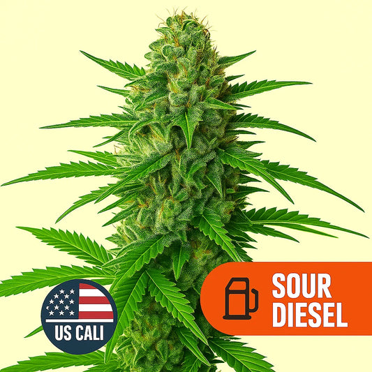 Sour Diesel