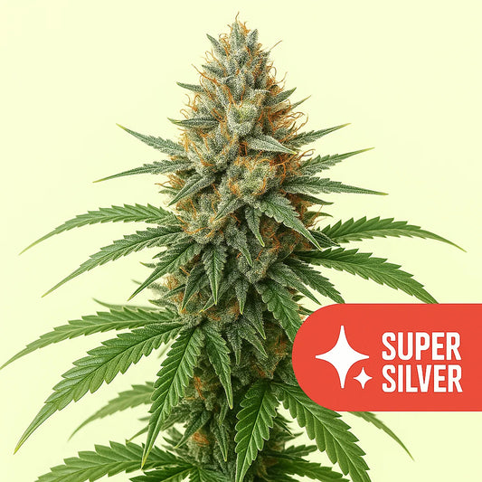 Super Silver