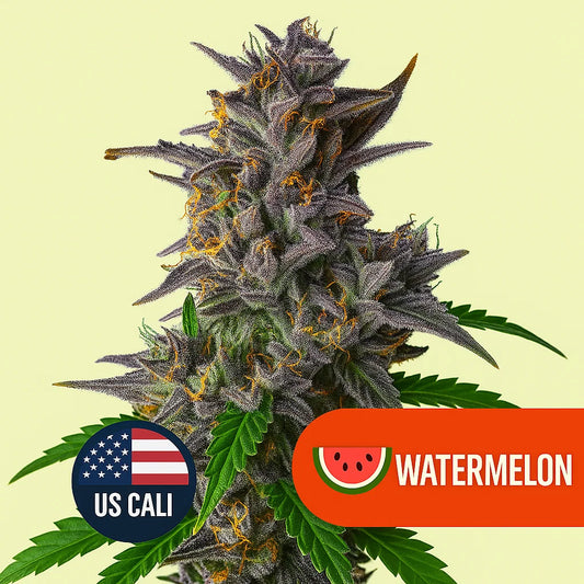 Watermelon US Cali